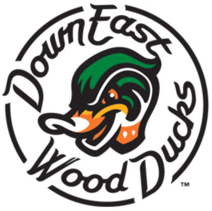 Down East Wood Ducks 2017-Pres Primary Logo iron on transfers for T-shirts